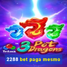 2288 bet paga mesmo